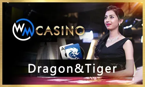 8k8 Esports Bonuses